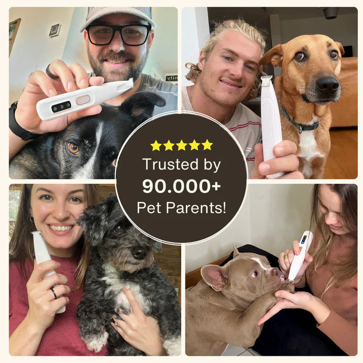 PawLuxe™ - Effortless Paw Pampering, All-in-One!